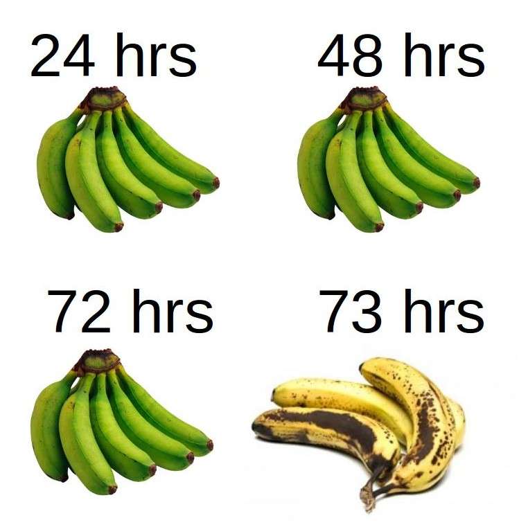 Banana meme